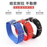 狗狗牵引绳项圈狗链子大中小型犬狗绳泰迪金毛拉布拉多哈士奇狗绳 单独项圈（颜色找客服备注） XS型号（适合6--12斤）