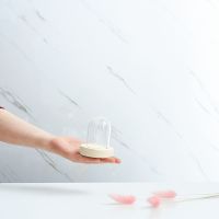 永生花玻璃罩展示盒防尘罩diy 装饰盲盒手办罩子干花桌面透明摆件 5*7厘米+原木色底座