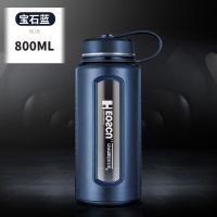 NRMEI超大容量特大号玻璃水杯男2000ML防摔茶水分离泡茶杯子800ML 宝石蓝800ML[便携提环+防摔]