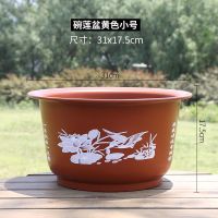 无孔荷花盆加厚加大花盆仿陶瓷碗莲睡莲花盆荷花水培绿植塑料花盆 砖红色295型号,口径30.5cm 1个装[送肥]