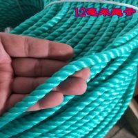 大棚瓜果蔬菜吊秧绳爬藤网吊绳与乙烯尼龙绳农用塑料捆绑吊蔓绳子 绿色12毫米[10米]