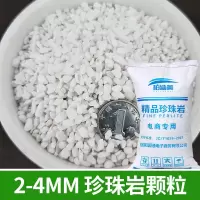 别墅建筑墙体屋面楼顶保温隔热膨胀珍珠岩颗粒耐火填充找平轻质沙 （中包）珍珠岩2-4mm8-9斤