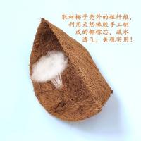 田园风格天然椰棕丝垫壁挂花篮铁架子挂墙上多肉绿萝种植吊篮盆栽 半挂椰芯[单独椰芯] 小号