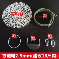 狗链子防咬铁链大型犬狗牵引绳金毛马犬德牧中型犬拴狗绳土狗铁链 铁链粗2.5mm(建议18斤内) 长1米
