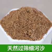 粗细河沙种植养花用拌土天然黄沙铺面中石子乌龟冬眠孵蛋鱼缸底砂 (精筛)细沙5斤