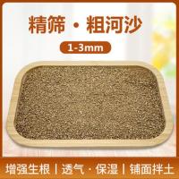 天然粗河沙多肉植物铺面装饰水晶沙石子三湖鱼缸沙石造景底砂 1斤装 粗河沙(1-3mm)