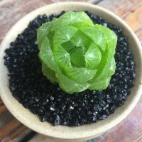 黑金沙铺面石多肉装饰造景沙底砂鼠沙子鱼缸水族草水晶化妆生石花 黑金沙:1-2mm5斤