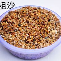 天然鱼缸底砂细粗河沙子粗砂造景多肉铺面种植伴土乌龟冬眠鹅卵石 5斤