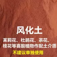 风化石颗粒风化土金弹子扦插生根多肉茶花兰花渗水透气酸性营养土 风化石(粉)9.5斤单独使用会板结