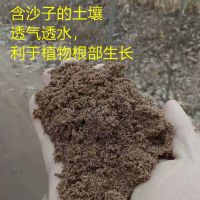 天然沙土沙壤土种菜种花盆栽盆景专用土种植土细沙土壤 6斤沙土