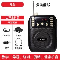 小蜜蜂扩音器教师专用收音机多功能插卡音响迷你扩音机叫卖音响 黑色 单电池款 标配(机器+充电线)