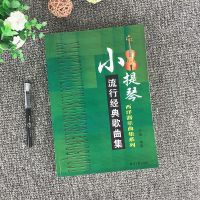 小提琴流行经典歌曲集西洋器乐五线谱曲谱中外儿歌歌辅助教材书籍