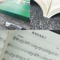小提琴流行经典歌曲集西洋器乐五线谱曲谱中外儿歌歌辅助教材书籍