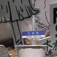 TFBOYS 时代少年团各成员吸管插卡套 王俊凯10个