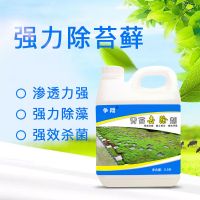 青苔去除剂水泥地面墙面霉菌藻类苔藓杀除剂瓷砖灭藻草酸买四发五
