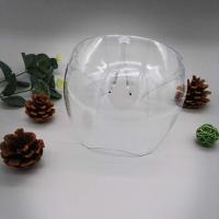 2021新款跨境防护防雾款面罩防护眼防飞沫眼镜双面高清隔离面屏 透明 (防雾)