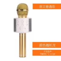 儿童变声器话筒麦克风k歌神器无线话筒手机全民k歌无线蓝牙音响 英文土豪金[体验版]