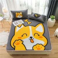 [可机洗]冰丝席凉席三件套双人可折叠席子夏季学生宿舍空调席 调皮旺 [无枕套]婴儿席60x110cm