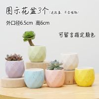 多肉花盆陶瓷马卡龙六色套装多面体小号肉肉盆栽仙人掌办公室花盆 小多面3个-送托盘