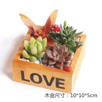 多肉 多肉植物 组合盆栽新款室内办公室防辐射创意diy盆栽含盆土 LOVE木盒组合B款