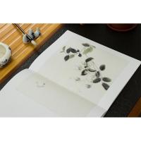 工笔花鸟画 零基础轻松学 王洛丹著 绘画技法从入门到精通