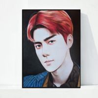 数字油画diy韩国BTS防弹少年团手绘油彩画家居客厅装饰手工画 714 40*50无框(彩色画布)