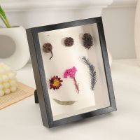立体中空标本相框diy手工干花画框摆台蝴蝶昆虫粘土加厚干花相框 黑色(中空3cm) 6寸[10.1cm*15.2cm]