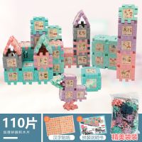 拼音玩具儿童识字宝宝拼插装积木雪花片男孩女孩益智动脑搭配乐高 110片【袋装】送汉子拼音贴纸