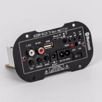 大面板板12V24V220V带蓝牙双话筒大功率蓝牙功放板低音炮功 12V220V双用无话筒接口无蓝牙