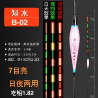 知水纳米变色夜光漂浮漂高灵敏醒目鱼漂高灵敏特价电子漂鲫鱼漂 B02(吃铅1.82g)野钓鲫鱼 一支非变色电子漂