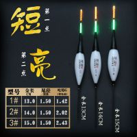 夜光超短浮漂浅水电子鱼漂浅水小鱼漂短尾短身漂草洞漂虾漂夜钓漂 超短两目 1号一支配1个电池