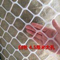 防猫封窗户大孔灰色胶网灯饰画专用塑料网阳台防护栏网通风隔离网 0.5米宽 白色 4.5厘米大孔