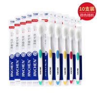 今晨牙刷软毛极护纤丝精巧椭圆刷头高档家庭装独立包装批发10支 A3101 10支装 成年人