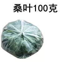 [桑蚕乐园]新鲜鲜嫩桑叶100克蚕宝宝活体2345龄蚕桑叶1斤桑树叶 新鲜桑叶100克[韵达中通]