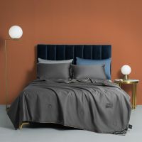 A类被子夏被冰丝夏凉被夏季空调被被芯单人宿舍被双人凉感被薄被 高级灰[可机洗 不褪色] 150x200cm[冰爽亲肤可裸