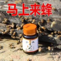 寻蜂液神奇招蜂水蜂王信息素野外土中蜂引蜂诱蜂分蜂大瓶喷剂蜂蜡 涂抹型诱蜂水120克[1瓶]
