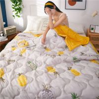 北极绒夏被夏凉被双人水洗棉空调被夏季单人学生宿舍薄被子春秋被 HF菠萝 80x100cm[随机发货]