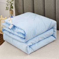 [特价清仓]被子夏季薄款空调被夏凉被春秋被单双人冬被宿舍被芯 纯色压花款--蓝色 100x150cm[约1斤]