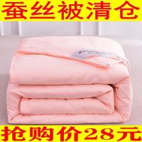 桑丝夏被子加厚保暖冬被芯春秋被空调被双人单人学生被褥 新款玉色 120*150儿童被