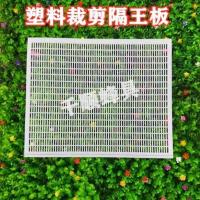 中蜂意蜂隔王板益精平面隔王板浙江龙泉十框隔王栅蜂王产卵控制器 可裁剪塑料平面隔王板(意蜂) 1张