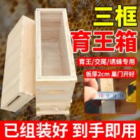 蜜蜂育王箱 蜂王交尾箱 杉木三框蜂箱育王分蜂专用小型交尾蜜蜂箱 三框育王箱