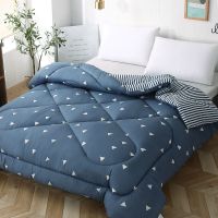 [甩卖]特价冬季被子加厚冬被保暖被芯单人宿舍被学生双人被批发 时尚爱巢 1x1.5米小盖被随机发