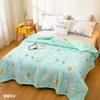 夏季水洗棉夏凉被空调被单人夏被双人春秋被学生被芯儿童卡通被子 春暖花开 70x100cm[亲肤棉夏被]