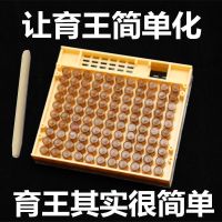 育王工具育王盒育王箱中蜂王意蜂育王框免移虫育王台蜂王台育王棒 育王盒1个120个王台+育王棒说明书 中蜂