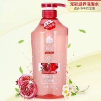蜂花无硅油洗发露健发滋养水润750ml洗发水洗头膏洗发膏生姜芦荟 无硅滋养洗发露750ml*1瓶