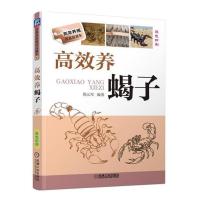 高效养蝎子 科学办好蝎子养殖场 养蝎子养殖技术繁殖喂养饲料选种