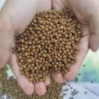 通威鱼饲料1531锦鲤草鱼鲫鱼观赏鱼类浮水颗粒饲料三斤 通威2-3毫米浮水鱼饲料3斤
