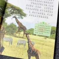 十万个为什么 一年级课外书必读下册 彩图注音版 完整版 儿童文学 名校-十万个为什么