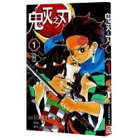 鬼灭之刃漫画书卷1-9 9册1残酷 日番studio简体中文版日本漫画 第一册