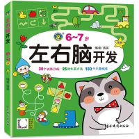 左右脑开发书 幼儿书籍早教启蒙宝宝益智全脑思维逻辑训练2-3-6岁 6-7岁左右脑开发